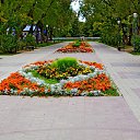 ���� ��������, ������, 62 ���� - ��������� 22 �������� 2013 � ������ ���� ����������