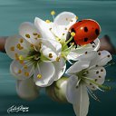 ���� ������� -------, ����������� - ��������� 12 ����� 2014 � ������ ������ ��������