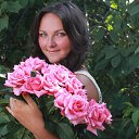 ���� �����������, ���������, 33 ���� - ��������� 16 �������� 2013 � ������ ���� ����������