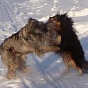 ���� ����, �����-��������� - ��������� 3 ������ 2013 � ������ ���� �������