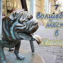 ���� ������, �����-���������, 54 ���� - ��������� 31 ������� 2013 � ������ ������ ��������