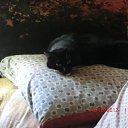 ���� ���������, ���������������, 61 ��� - ��������� 29 ������ 2014 � ������ ���� ����������