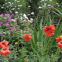 ���� ��������, ������ - ��������� 15 ������ 2014 � ������ ���� ����������