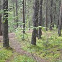 ���� Svann, ���������, 71 ��� - ��������� 18 �������� 2013 � ������ �������� �����