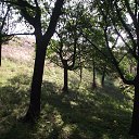 ���� �������, ������, 76 ��� - ��������� 6 ������� 2013