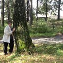 ���� �������, ������, 62 ���� - ��������� 18 �������� 2013 � ������ ���� ����������