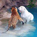 ���� *����� * ����� ���� �����*, ����� - ��������� 7 ����� 2014 � ������ ���� ����������