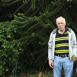 Viktor, , 68 