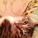 ���� �����, ����������, 44 ���� - ��������� 6 ������ 2014 � ������ ���� ����������