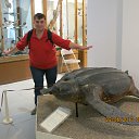 ���� ������ ����, ������, 58 ��� - ��������� 1 ������� 2014 � ������ ���������