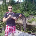 ���� ����, �����������, 44 ���� - ��������� 13 ������ 2014 � ������ ���� ����������