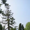 ���� ����������, ����, 57 ��� - ��������� 28 ������� 2013 � ������ �����