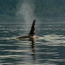  , , 56  -  16  2014   X