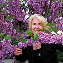 ����� ������ �������� ������ �� ������� ����� ��� ������������