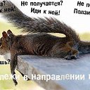 ))))))))))) �� ������� ���� ����������