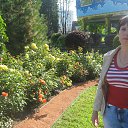 ���� �������, ������ - ��������� 17 �������� 2013 � ������ ���� ����������