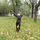 ���� ����, ������ - ��������� 24 ������� 2013 � ������ ���� ����������