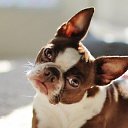 ���� �����, ������, 49 ��� - ��������� 19 �������� 2013 � ������ ���� ����������