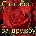 ���� �����, ������-��-���� - ��������� 5 ������� 2014 � ������ ���� ����������