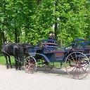 ������ ���! ������! �� ������� ���� ����������