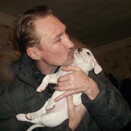 ���� ������, �����, 53 ���� - ��������� 8 ����� 2014