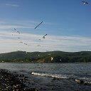 �. �������. ����� �����������. �� ������� ������� ������ɻ