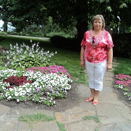 , 61, 