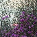 �������� ��������� �� ������� ���� ����������