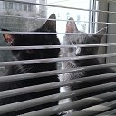 ���� Belle, ������ - ��������� 28 ������� 2014 � ������ ������ ��������