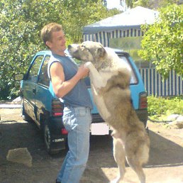 ���� ������, ����, 54 ���� - ��������� 1 ������ 2014