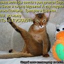 ���� ������, ���������, 60 ��� - ��������� 16 ������� 2013 � ������ ������ ��������