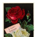 HAPY BRTDAY �� ������� ������ ��������