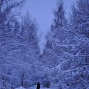 ���� ���������, ����, 47 ��� - ��������� 30 ������� 2013 � ������ ���� ����������