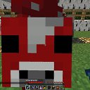 ���� �����, ������, 22 ���� - ��������� 13 ������� 2013 � ������ ���� ����������