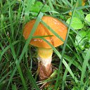 ���� ����, ������� - ��������� 14 ������ 2014 � ������ ���� ����������