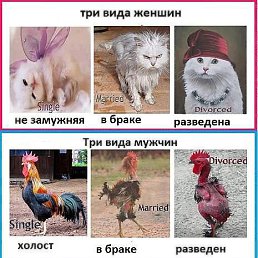 ���� ������, ������ - ��������� 7 ������� 2014