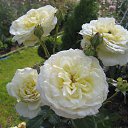 ���� ����, ������ �������� - ��������� 23 ������� 2013 � ������ ���� ����������