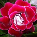 ���� ��������, ���������� �����, 76 ��� - ��������� 30 ������ 2013