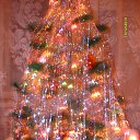 ���� ��������, ���, 43 ���� - ��������� 13 ������� 2013 � ������ ����������� � ������ ���� 2014 �.�
