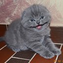 ������� ����� �������! �� ������� ����� ������!�