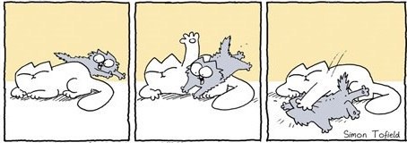 ���� �����, ������-��-����, 26 ��� - ��������� 17 ������� 2013