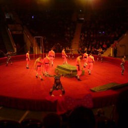 ��������, ������, 52 ����