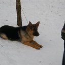 ���� �������, ����, 64 ���� - ��������� 17 ������� 2013 � ������ ���� ����������