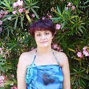 ����� 2012 �� ������� ���� ����������