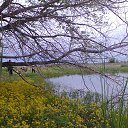 ���� ������, ������, 55 ��� - ��������� 12 �������� 2013 � ������ �������