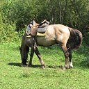 ���� ����, ������� - ��������� 14 ������ 2014 � ������ ���� ����������