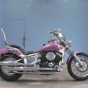 ���� ��� ������, �����-��������� - ��������� 31 ������� 2013 � ������ ������