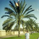 ���� Abdulaziz, ������� - ��������� 19 ������ 2014 � ������ ���� ����������