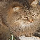 ������ ���������� �������... �� ������� ���� ���� � ������ ��������