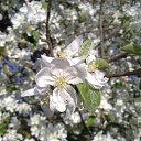 ���� �������, ����� - ��������� 20 ������� 2014 � ������ ��� ��� ������ ���